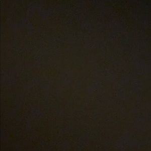 Meet your Posher, Lily